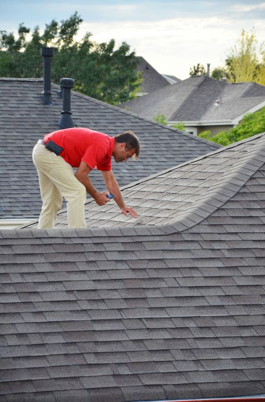 Roof Flashing Inspection